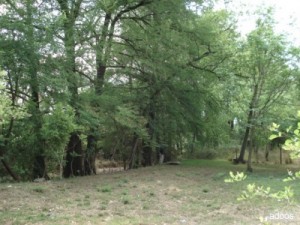  Avisos dse propiedades en Mexico en Santiago |  EXCELENTE TERRENO CAMPESTRE , LOTE EXCLUSIVO !