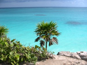  Avisos dse propiedades en Mexico en Playa del Carmen |  Se rentan todo tipo de departamentos y casas en Playa del Carmen, Nos ajustamos a tu presupuesto