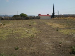 edilberto Avisos dse propiedades en Mexico en Puebla |  ultimos 3 lotes en atlixco puebla, atlixco