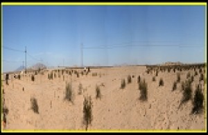 Juan Carlos Mart&iacute;nez Garc&iacute;a Avisos dse propiedades en Mexico en Puerto Pe&ntilde;asco |  Se vende propiedad, ------------------