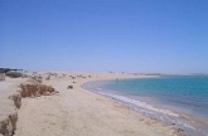 Juan Carlos Mart&iacute;nez Garc&iacute;a Avisos dse propiedades en Mexico en Puerto Pe&ntilde;asco |  Se vende propiedad en Estero Mor&uacute;a, -------------