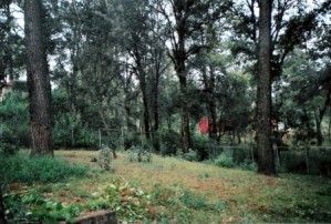 ESTHELA AGUILAR Avisos dse propiedades en Mexico en Cuernavaca |  PERMUTO,TRASPASO O VENDO TERRENO DE 980M2 A 10MIN. CUERNA ZONA BOSQUE, REMATO TERRENO PARA PERMUTA, TRASPASO O VENTA 980M2 EN FRACCIONAMIENTO