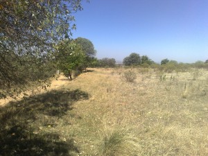 edgar Avisos dse propiedades en Mexico en Lerma |  VENTA DE TERRENO  ����� URGE ����������, Terreno en venta