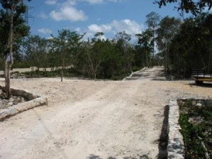 juan carlos pontigo cano Avisos dse propiedades en Mexico en Playa del Carmen |  terrenos ecologicos , unicos en su genero
