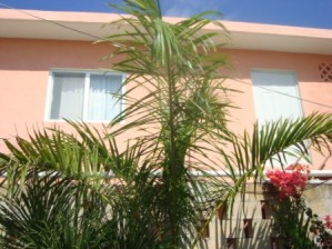 Sayra de la Torre Avisos dse propiedades en Mexico en Playa del Carmen |  Bonito estudio amueblado en Playa del Carmen, A unas cuadras de la Playa