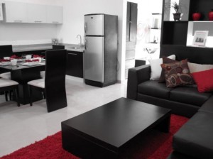 Nivel Once Avisos dse propiedades en Mexico en Monterrey |  Departamentos Nuevos Amueblados Tipo Lofts, Estrenelos Totalmente Equipados