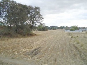 EDGAR AGUILAR Avisos dse propiedades en Mexico en Lerma |  TERRENO EN PROPIEDAD A VENTA �A TRATAR (OFERTO)�, OFERTA DE TERRENO