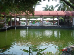 berenice Avisos dse propiedades en Mexico en Jiutepec |  HERMOSO JARDIN PARA EVENTOS FIESTAS Y REUNIONES , RESERVA AHORA TU EVENTO ESPECIAL 