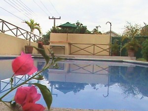 Alex Orozco Avisos dse propiedades en Mexico en Xochitepec |  Fin de semana y Sol en cuernavaca, casa con alberca templadita con calefaccion y jardin propios.