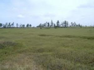 edwin arreola Avisos dse propiedades en Mexico en Toluca |  Vendo lote en toluca, muy buena ubicacion, Lote en san andres 