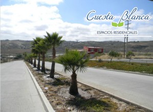 NANCY GARC&Itilde;A Avisos dse propiedades en Mexico en Tijuana |  Cuesta blanca, el mejor lugar para comprar su terreno en tijuana, Credito congelado y sin intereses