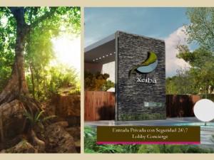 Vetro Impulsores Inmobiliarios Avisos dse propiedades en Mexico en Canc&uacute;n |  Preventa departamentos exclusivos cancun quintana roo, calidad y lujo, Preventa departamentos exclusivos cancun quintana roo, calidad y  lujo