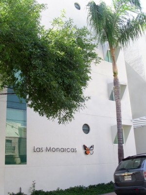 mision o Avisos dse propiedades en Mexico en Monterrey |  Departamentos en renta zona tec de monterrey, Las monarcas