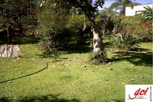 GCI Casas Avisos dse propiedades en Mexico en Guadalajara |  Terreno en venta guadalajara jalisco, col las fuentes, Av las fuentes esq lopez mateos