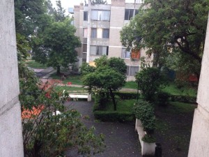 Daniel Bonifaz Avisos dse propiedades en Mexico en Coyoac&aacute;n |  Hermoso y remodelado departamento en renta tres recamaras, Reci&eacute;n pintado, c&oacute;modo, amplio e iluminado