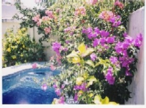  Avisos dse propiedades en Mexico en Veracruz |  VERACRUZ -PUERTO: Trato Directo: Casa con ALBERCA y JARD&iacute;N, Residencia familial a s&oacute;lo 5 minutos de la playa.