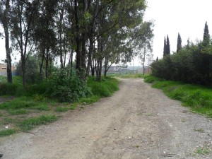 Diana Ch&aacute;vez Avisos dse propiedades en Mexico en Atizap&aacute;n de Zaragoza |  Terreno en privada a 5 min galer&iacute;as , Atizap&aacute;n