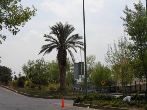 Diana Ch&aacute;vez Avisos dse propiedades en Mexico en Atizap&aacute;n de Zaragoza |  Espectacular terreno en venta zona residencial , Cerca de sat&eacute;lite