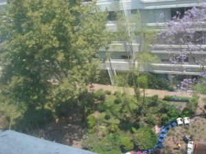  Avisos dse propiedades en Mexico en Benito Ju&aacute;rez |  Ubicadisimo!!  Del Valle 119m. Vendo departamento, 700m. de jardin comun, inmejorable lugar para vivir.