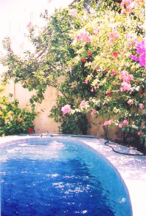  Avisos dse propiedades en Mexico en Veracruz |  Veracruz-Puerto: Casa+Alberca+Jard&iacute;n-Trato Directo-1,8 mill&oacute;n., Casa en Balneario Tropical 100 % equipada y barata.